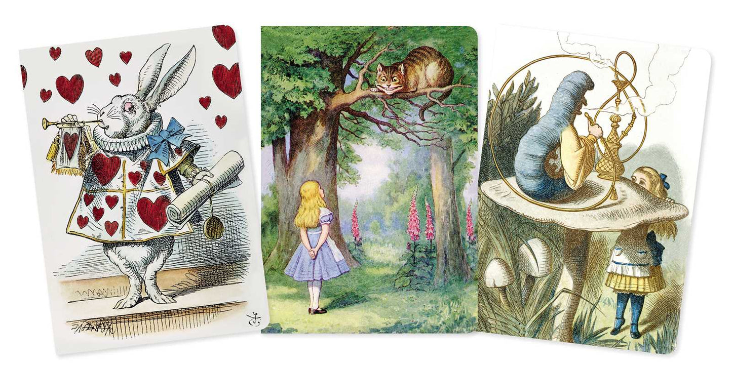 Alice in Wonderland Set of 3 Standard Notebooks by