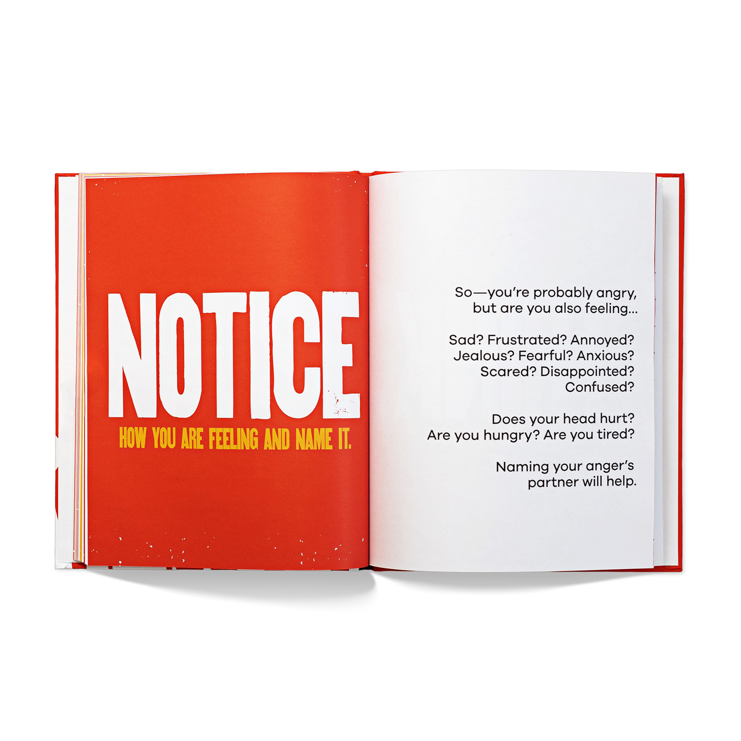 A Kids Book About Anger