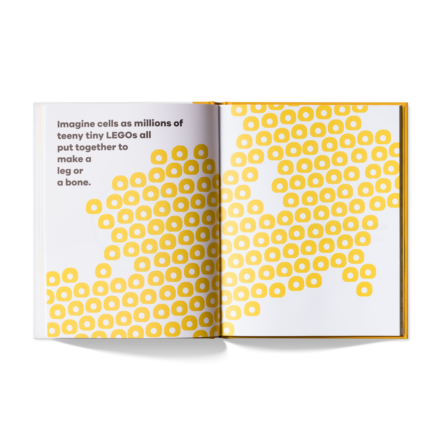 A Kids Book About Cancer