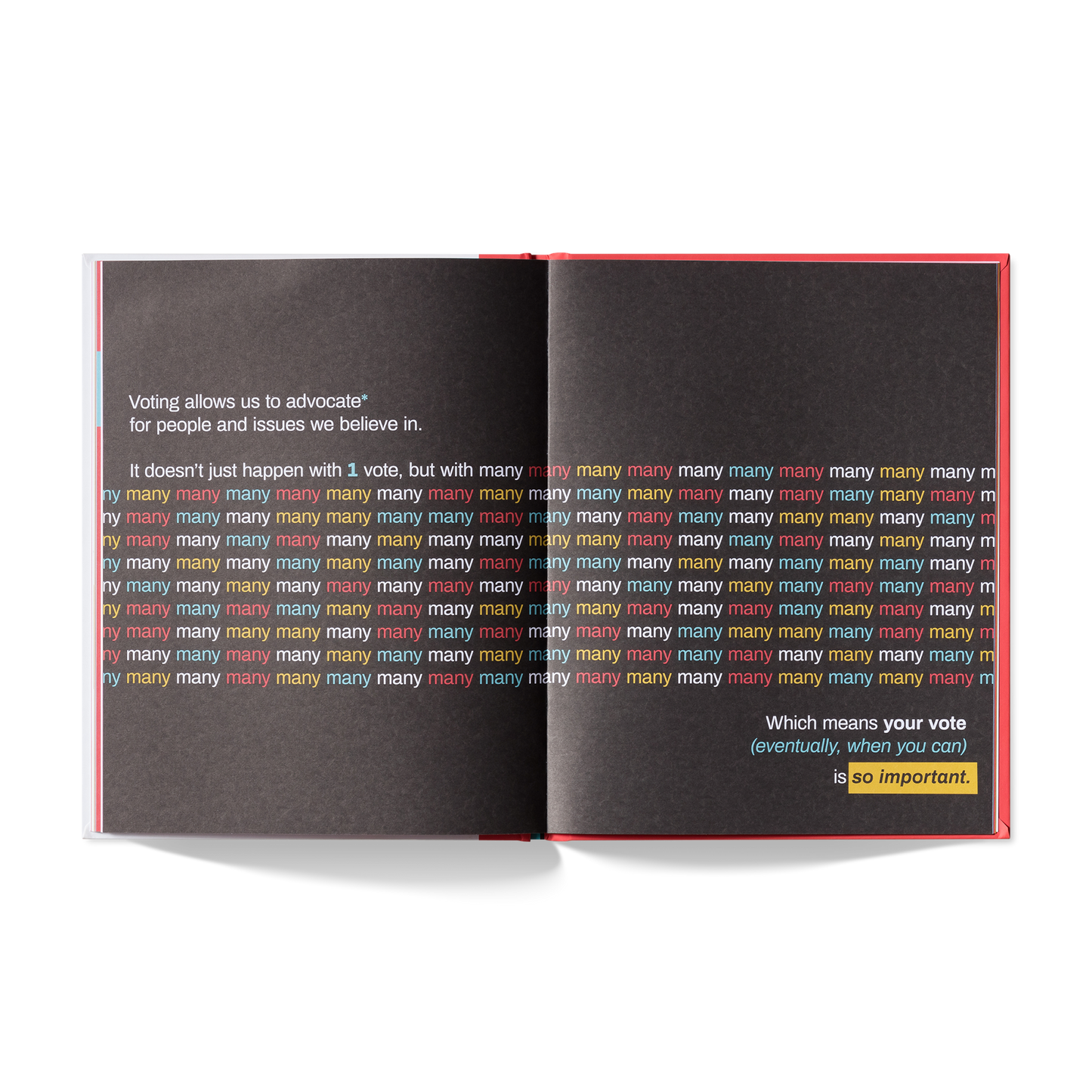 A Kids Book About Voting